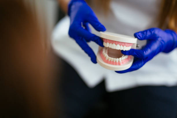 Trusted Phoenix, IL Holistic Dental Care Services Experts