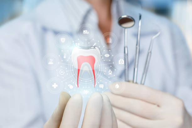 Best Traditional Braces  in Phoenix, IL